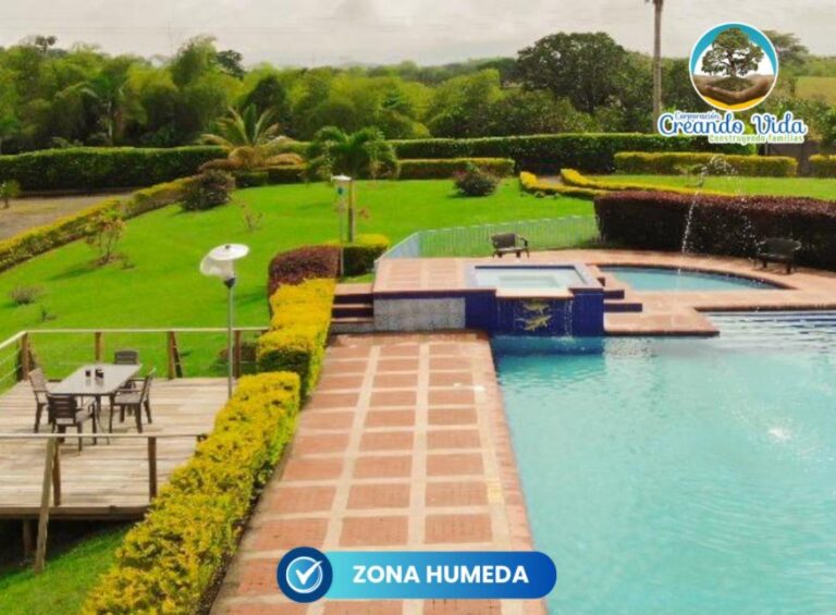 WhatsApp Image 2026-02-09 at 11.48.10 AM (3)