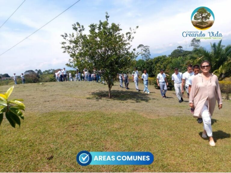 WhatsApp Image 2026-02-09 at 11.48.10 AM