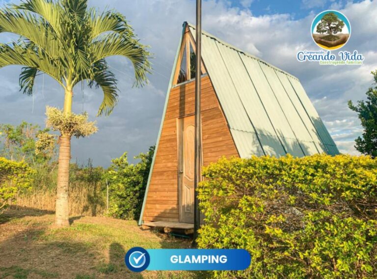 WhatsApp Image 2026-02-09 at 11.48.11 AM (2)