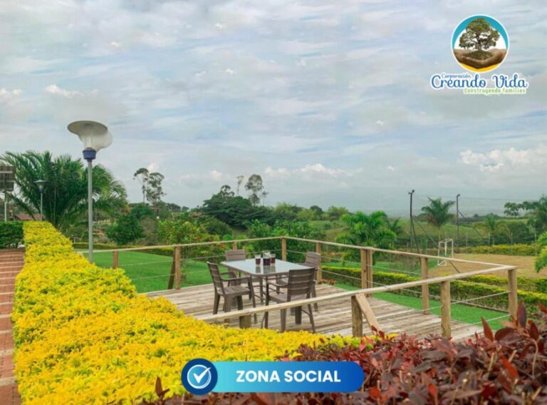 WhatsApp Image 2026-02-09 at 11.48.12 AM (2)