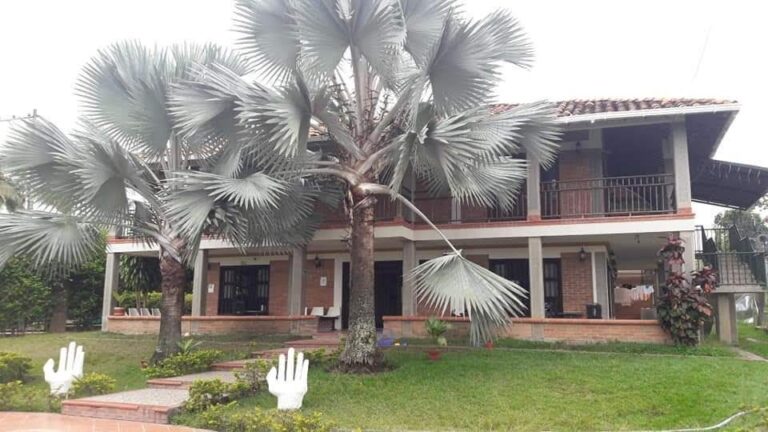 WhatsApp Image 2026-02-13 at 12.12.59 PM