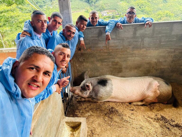 WhatsApp Image 2026-02-19 at 9.52.21 AM (1)