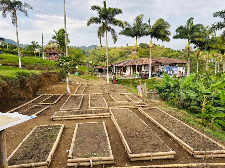 WhatsApp Image 2026-02-19 at 9.52.21 AM (3)